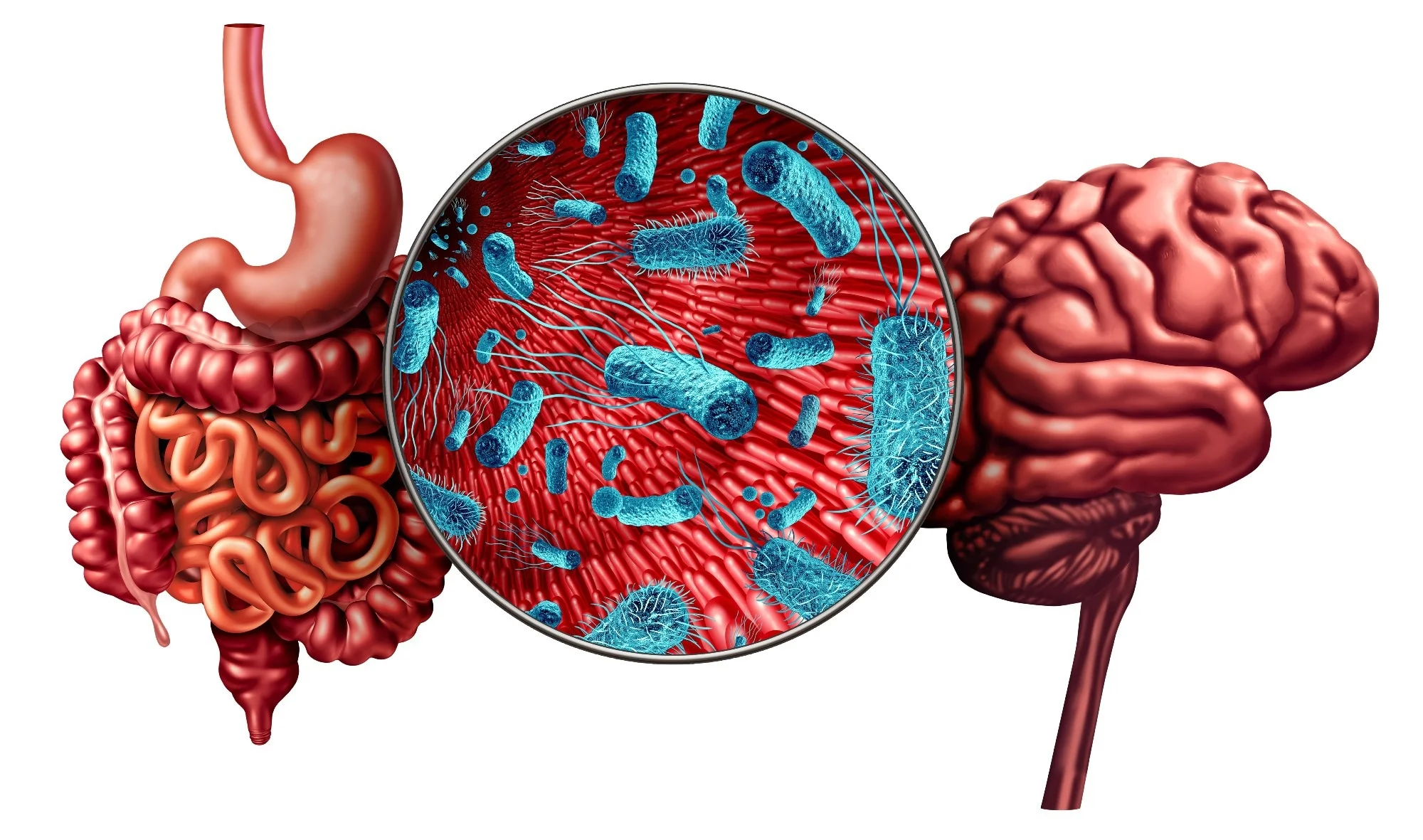 The Skin-Gut Axis