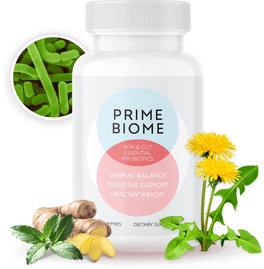 Prime Biome Review